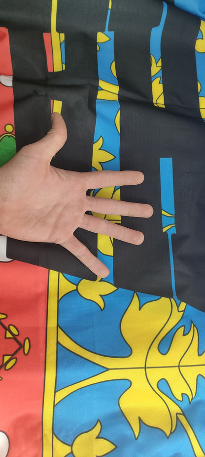 Bandera HC Valencia GRANDE